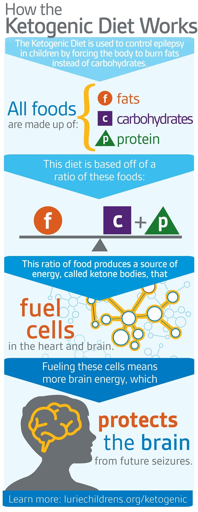 Low Carb Diets - Are They Effective For Fast Reduction Supplement?